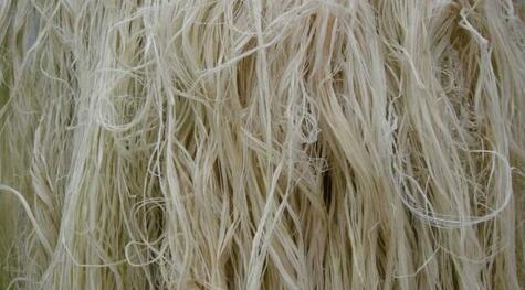 Difference Between Linen and Ramie